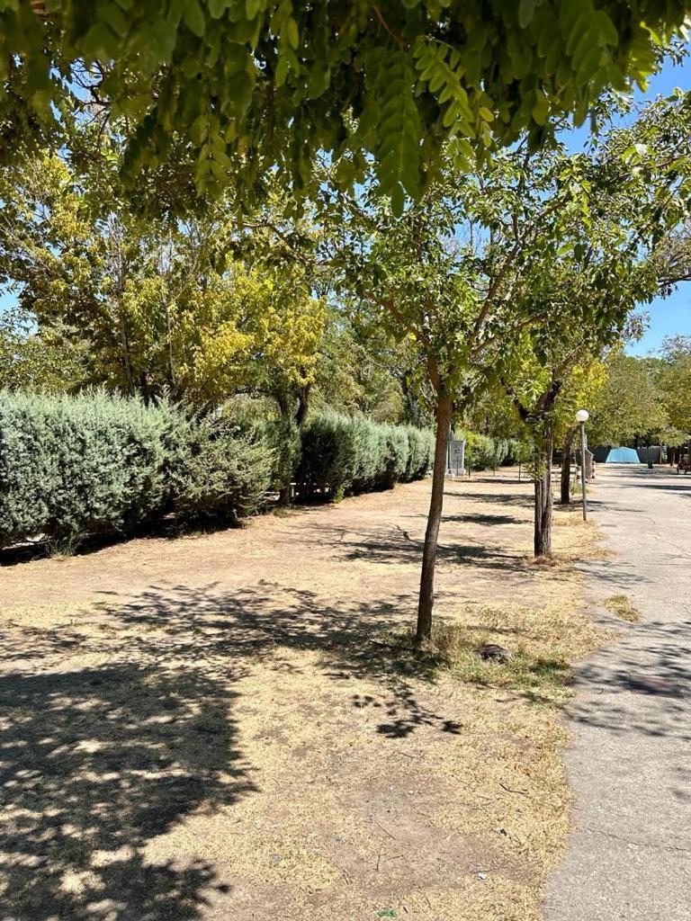 Bungalows Alpha Getafe Exteriér fotografie
