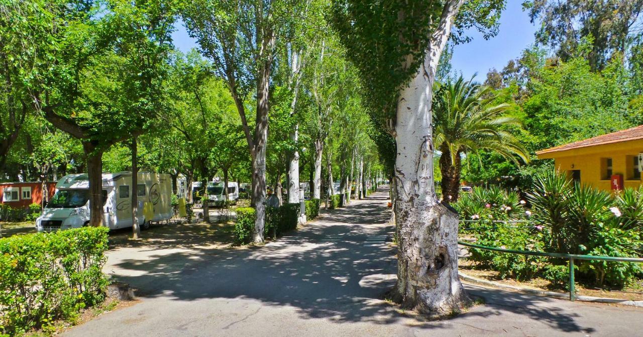 Bungalows Alpha Getafe Exteriér fotografie